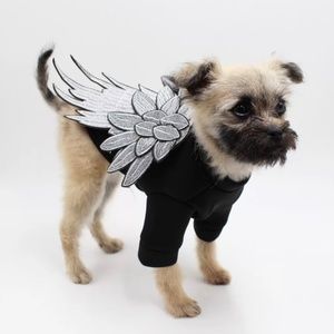Angel Dog Sweater with wings